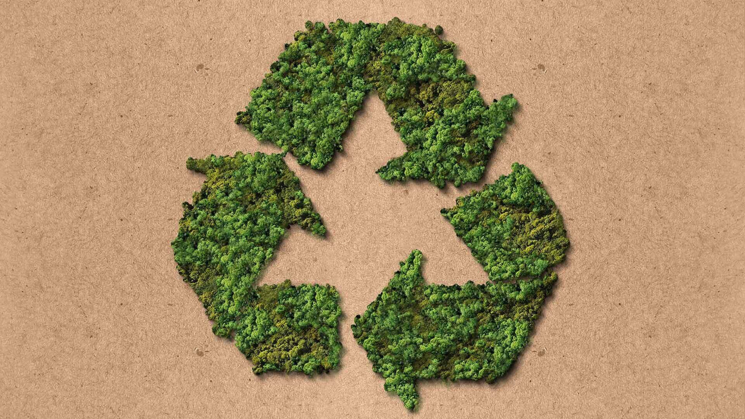 Are Paper Bags Compostable? [Complete Guide]