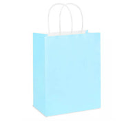 21 x 11 x 27 cm Light Blue Paper Gift Bags With Twisted Handles image 0