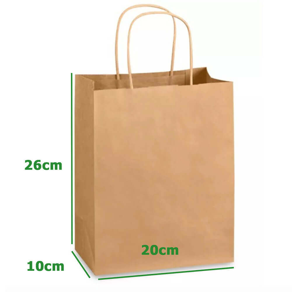 20 x 10 x 26 cm Brown Paper Bags With Twisted Handles - Spring - 100 Pack image 1