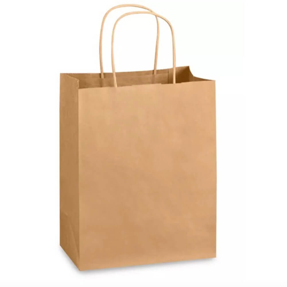 20 x 10 x 26 cm Brown Paper Bags With Twisted Handles - Spring - 100 Pack image 0